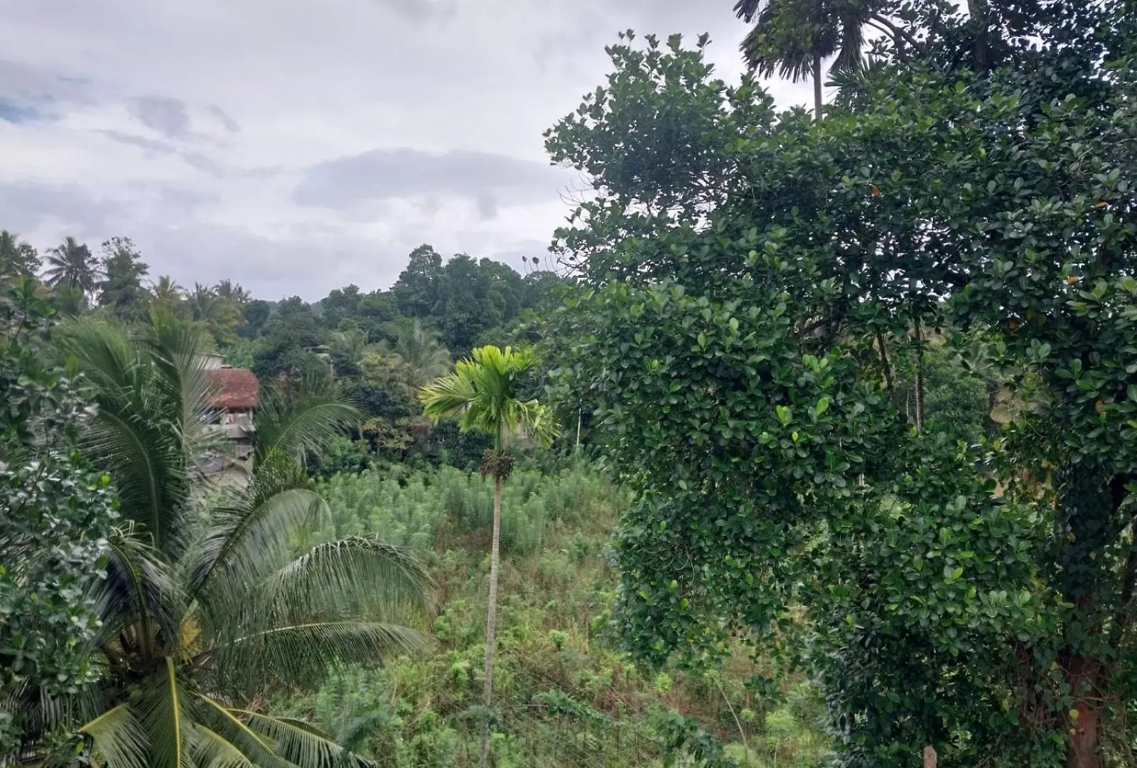 Homestay Margret Villa - 